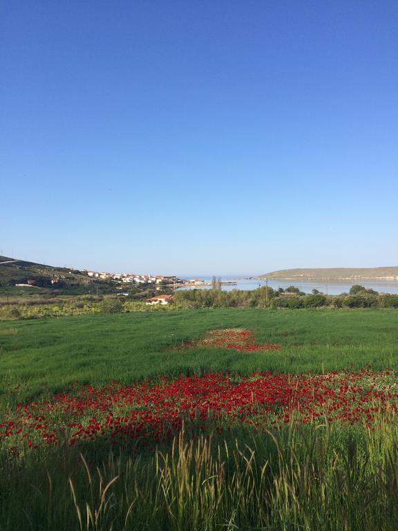 Lesvos Tower House Komninos Sigrion Bagian luar foto